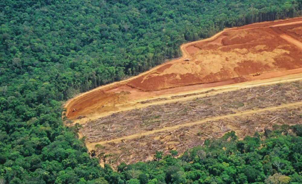 Aerial view of deforested area.